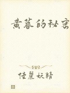 黄蓉的秘密