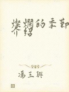 灿烂的季节剧情介绍