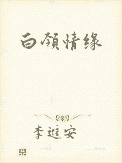 白领情缘