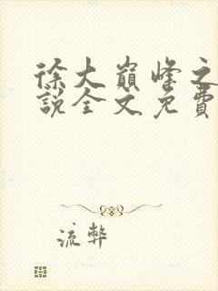 徐大巅峰之路小说全文免费阅读