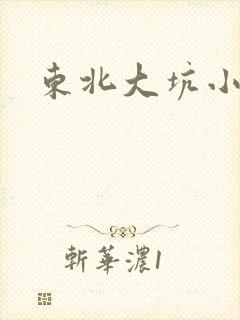 东北大坑小说