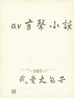 av有声小说
