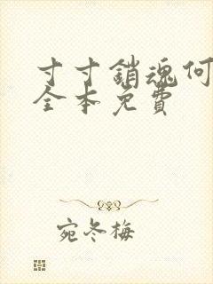 寸寸销魂何生祥全本免费