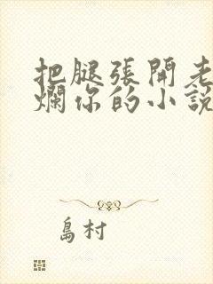 把腿张开老子臊烂你的小说