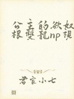 公主的欲奴h四根双龙np视频