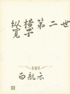 纵横第二世界 宽子