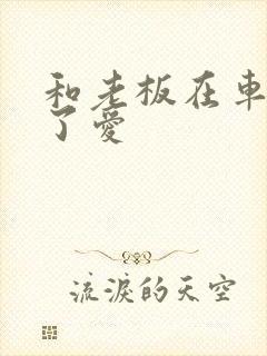 和老板在车里做了爱