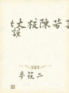 t大校陈若芸小说