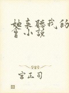 她来听我的演唱会小说