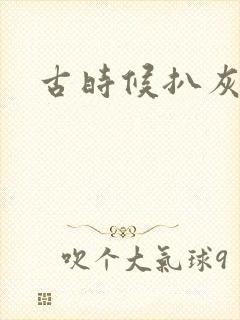 古时候扒灰小说