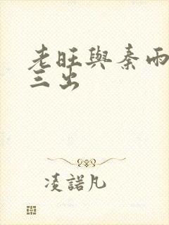 老旺与秦雨三进三出