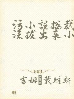 污小说总裁整夜没拔出来小说在线阅读