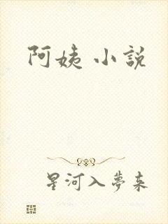 阿姨 小说
