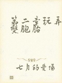 第二章玩弄少妇双胞胎