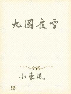 九国夜雪