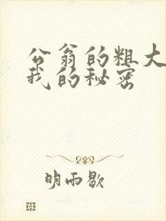 公翁的粗大放进我的秘密