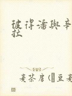 彼得潘与辛德瑞拉