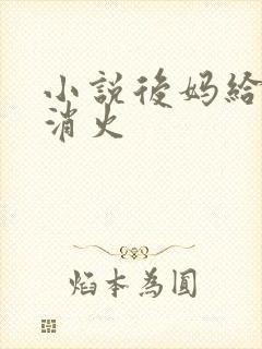 小说后妈给我消消火