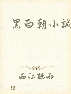 黑白朝小诚