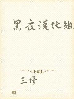 黑夜汉化组
