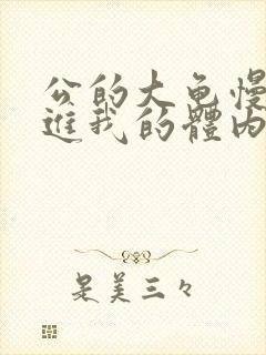 公的大龟慢慢挺进我的体内