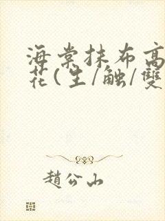 海棠抹布高岭之花(生/触/双)