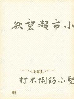 欲望超市小说