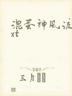 混蛋神风流史txt