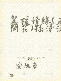 驾校情缘(老树开花)孙潇潇笔趣阁