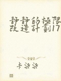 静静的极限自我改造计划17