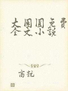 大团圆免费阅读全文小说