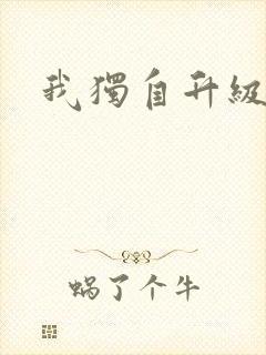 我独自升级小说