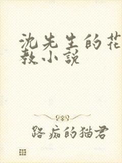 沈先生的花式管教小说