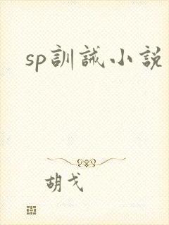sp训诫小说