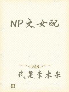 NP文女配