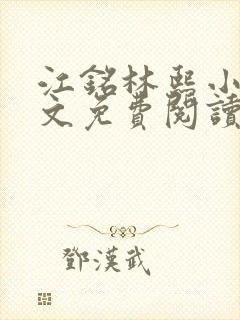 江铭林熙小说全文免费阅读