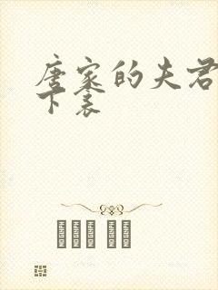 唐家的夫君们帘下衾