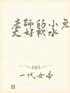 老师的小兔子好大好软水