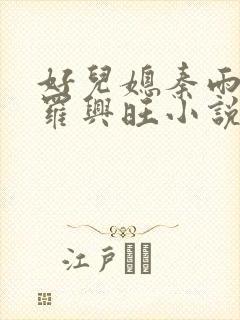 好儿媳秦雨罗明罗兴旺小说