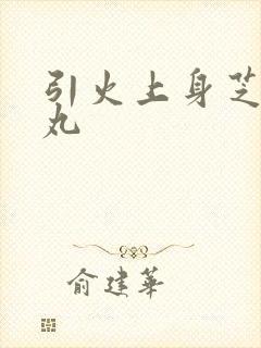 引火上身芝麻糖丸