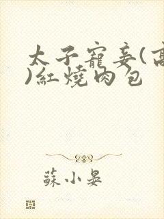 太子宠妾(高肉)红烧肉包