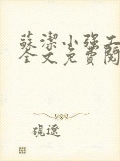 苏洁小强工地情全文免费阅读