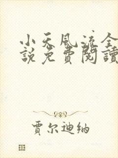 小天风流全集小说免费阅读