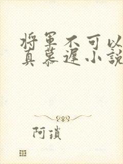 将军不可以魏云真慕迟小说笔趣阁