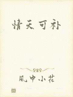 情天可补
