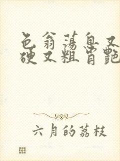 色翁荡息又大又硬又粗肖艳