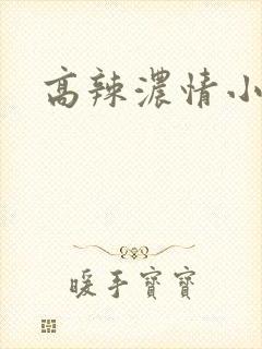 高辣浓情小说