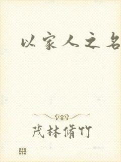 以家人之名小说