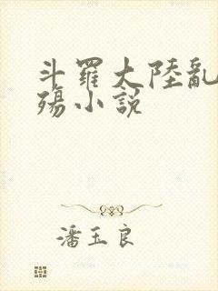 斗罗大陆乱世浮殇小说