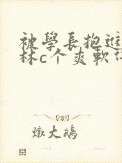 被学长抱进小树林c个爽软件